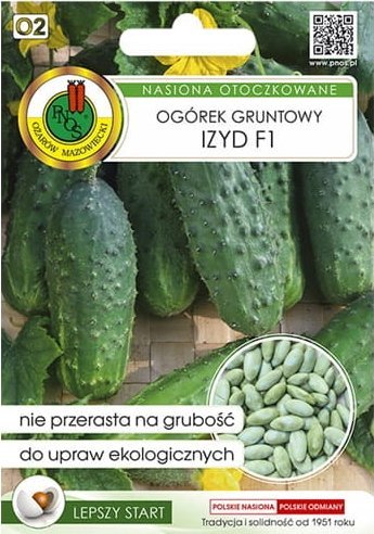 Ogórek Izyd F1 wyjątkowa odmiana średnio wczesna o wysokiej plenności