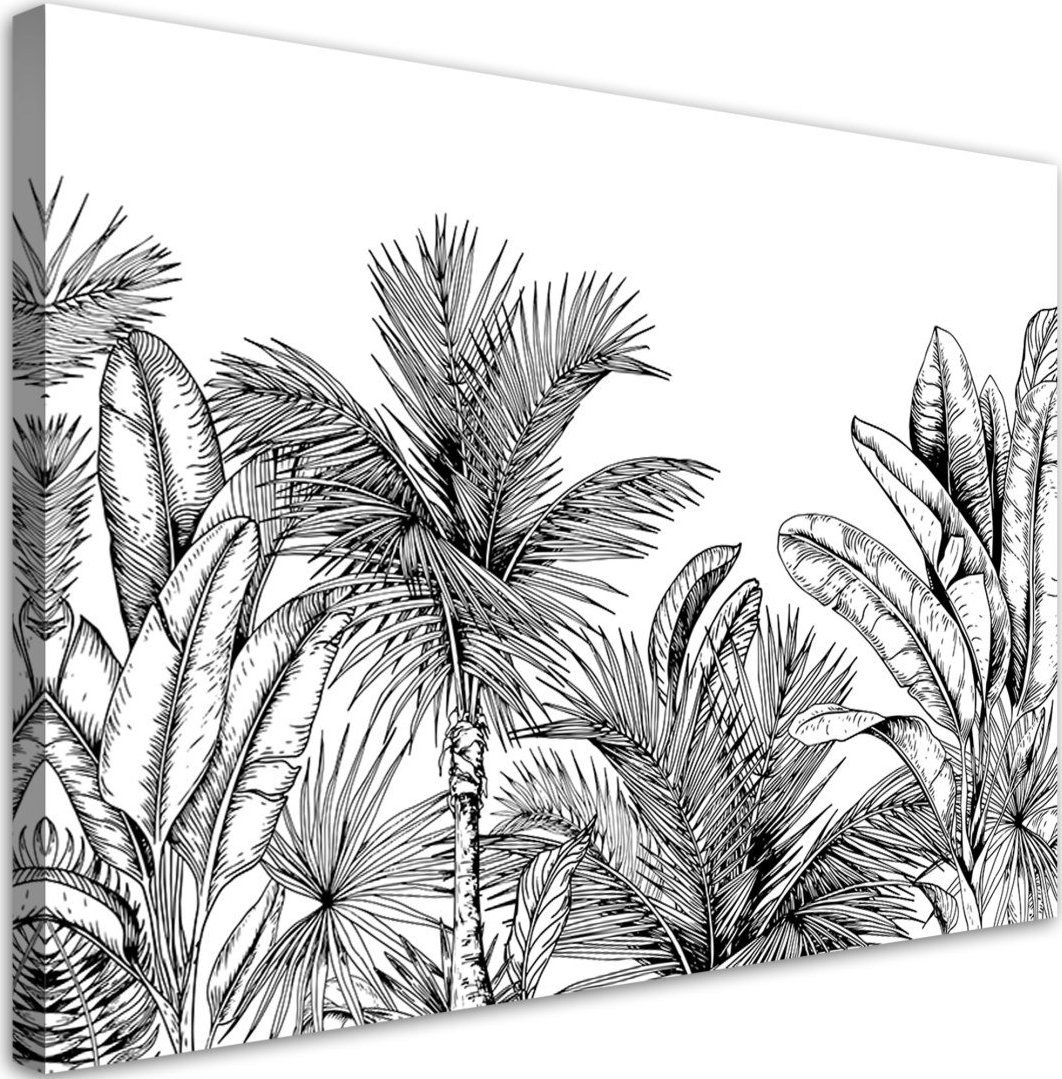 Feeby Obraz na płótnie, Czarno białe liście - 120x80