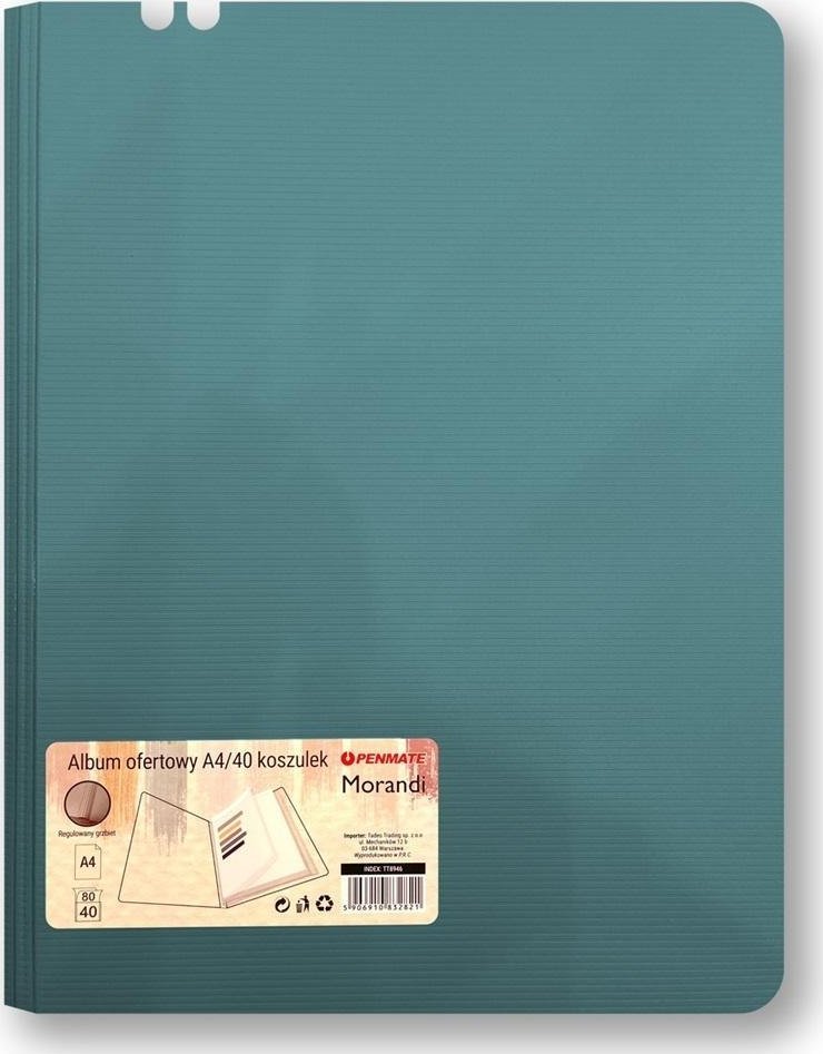 Album ofertowy A4 40 koszulek Morandi nieb-szary