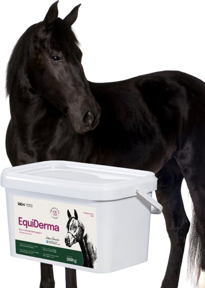 Lab-v EquiDerma Mieszanka paszowa uzupełniająca dla koni i kucyków wspierająca kondycję skóry, sierści i kopyt 2000g