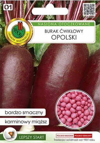 Burak ćwikłowy Opolski 100 nasion odmiana plenna o doskonałym smaku