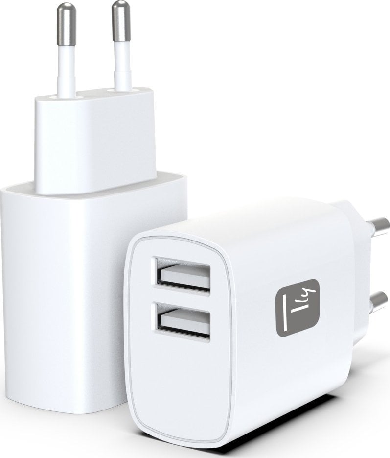 Techly IPW-USB-12W2A ładowarka do urządzeń przenośnych Słuchawki, Przenośny głośnik, Power bank, Smartfon, Tablet Biały Prąd przemienny Wewnętrzna