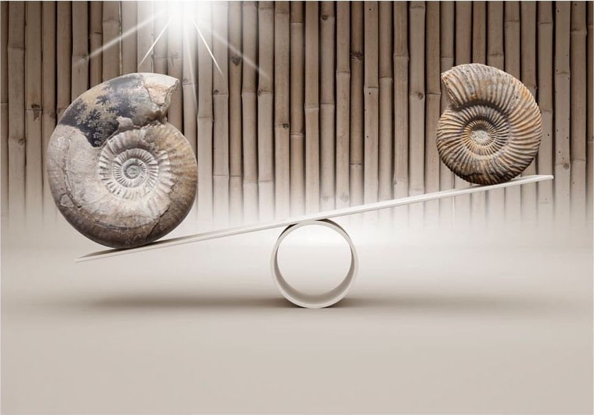 DecoNest Fototapeta - Zabawa Skamieniałości - 100X70