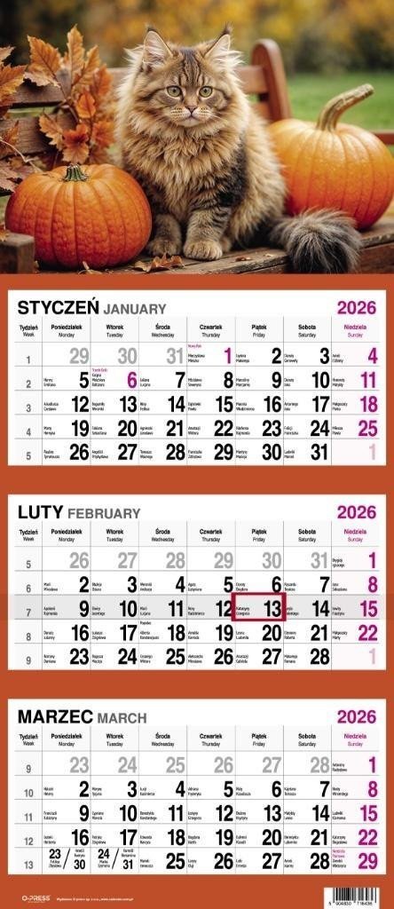 Kalendarz 2026 Trójdzielny Kot