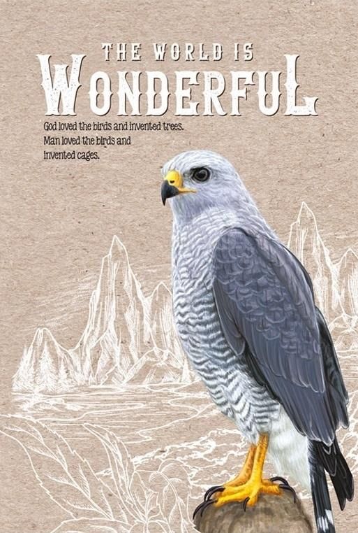 Fresh Notatnik ozdobny 145x197/80K kratka TW Sokół