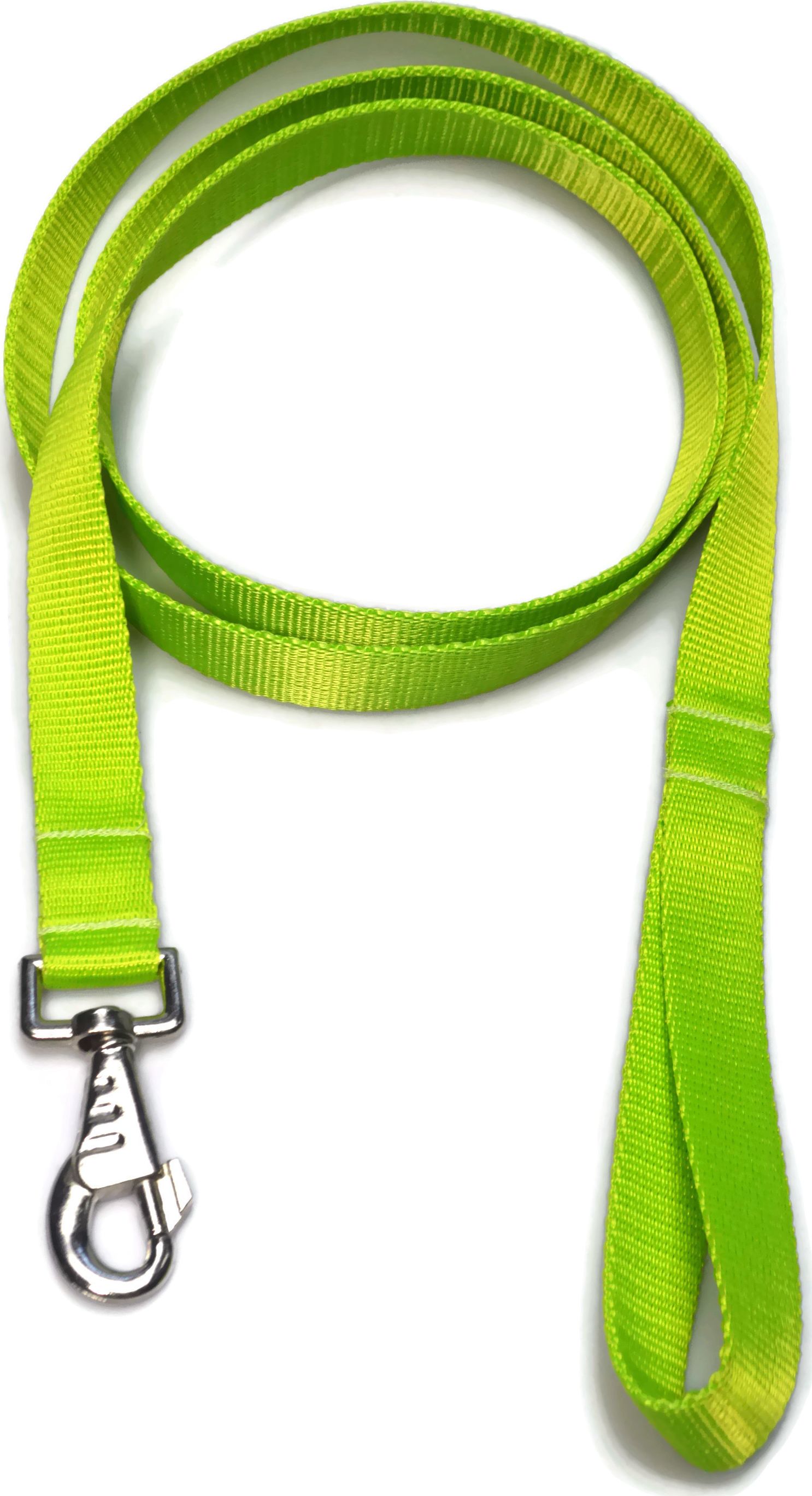 Alizoo Smycz dla dużych psów 30mm/180cm - ALIZOO