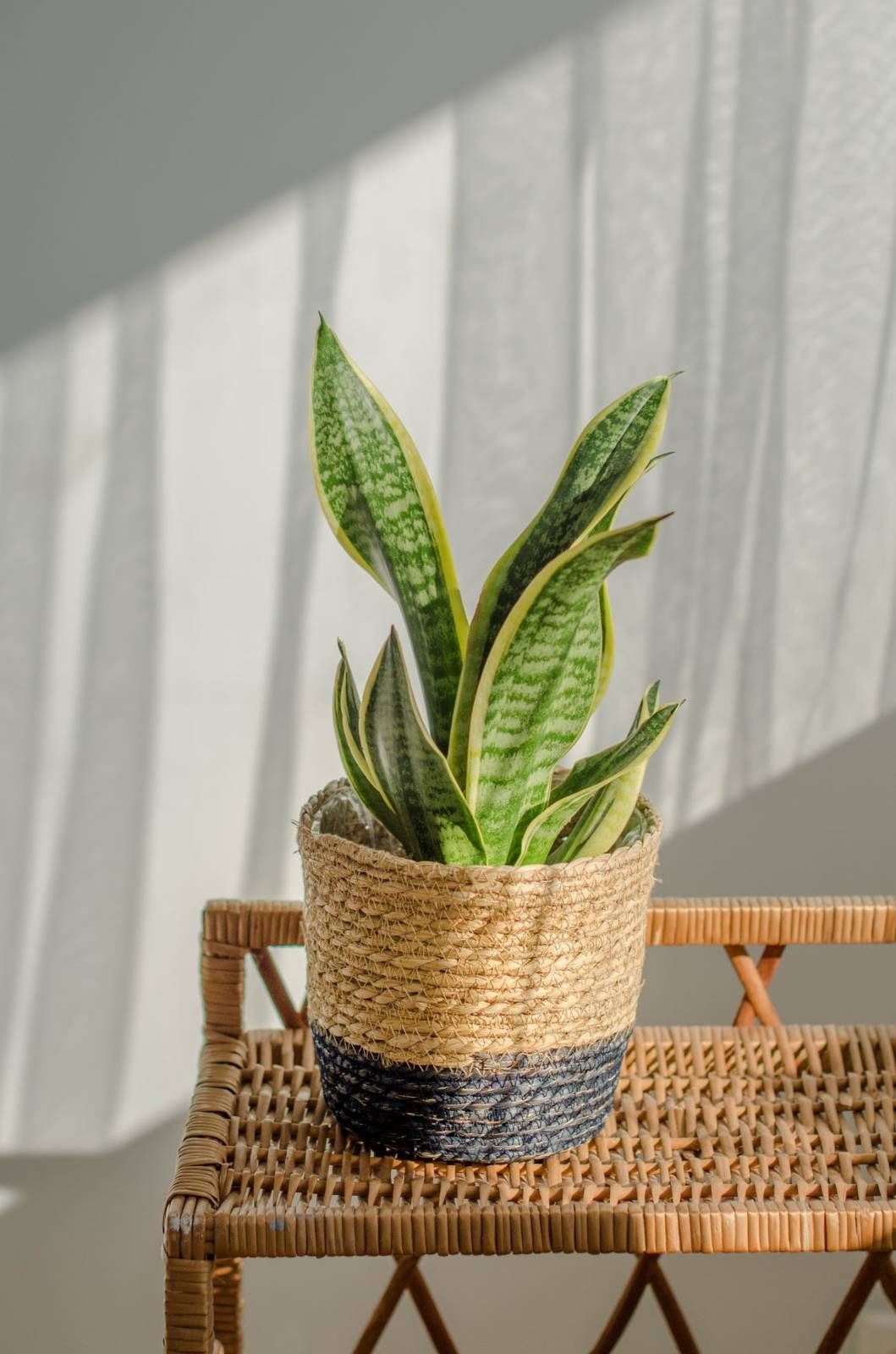 Kosz osłonka na doniczkę Moroccan Czarny 20cm