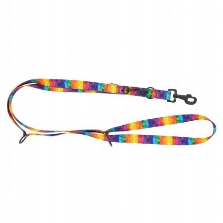 Smycz regulowana taśma dla psa Tęcza, 20mm/220cm
