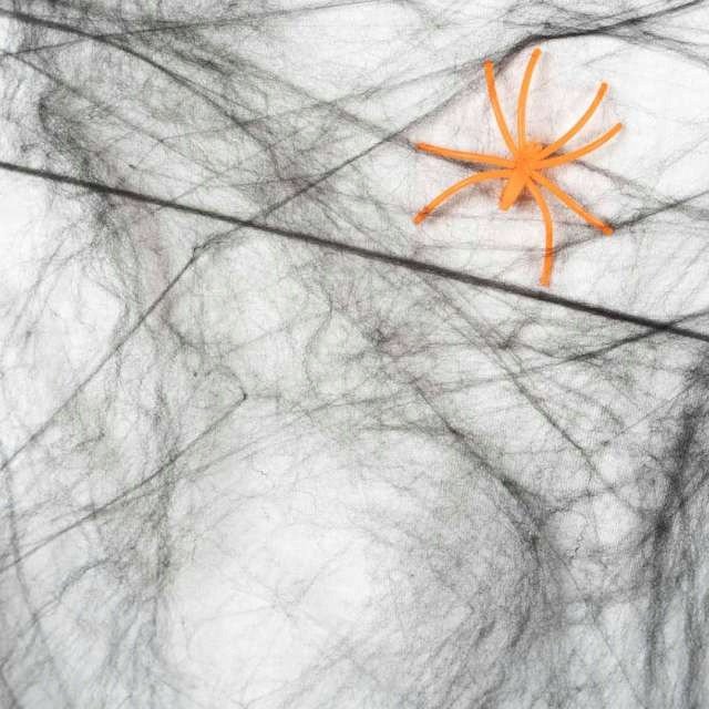 Czarna pajęczyna z pająkiem