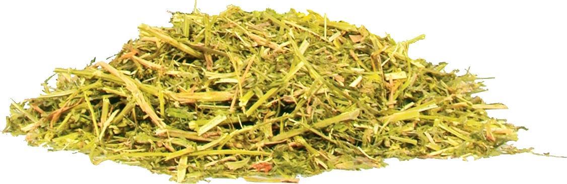 Zolux ZOLUX Siano 1 kg