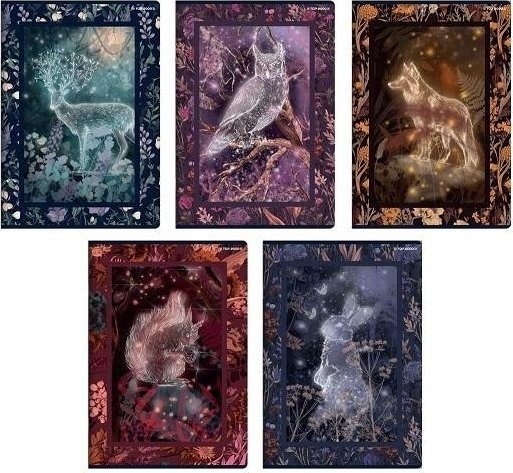 Zeszyt A5/32K linia Fairytale (10szt) TOP2000