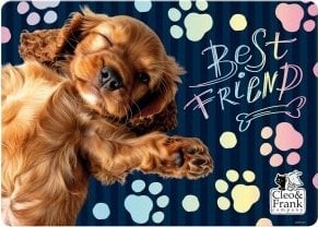 MATA NA STOL PP 290X400 CLEO I FRANK 44 DERF