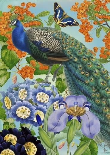 Madame Treacle Karnet B6 brokat z kopertą Paw