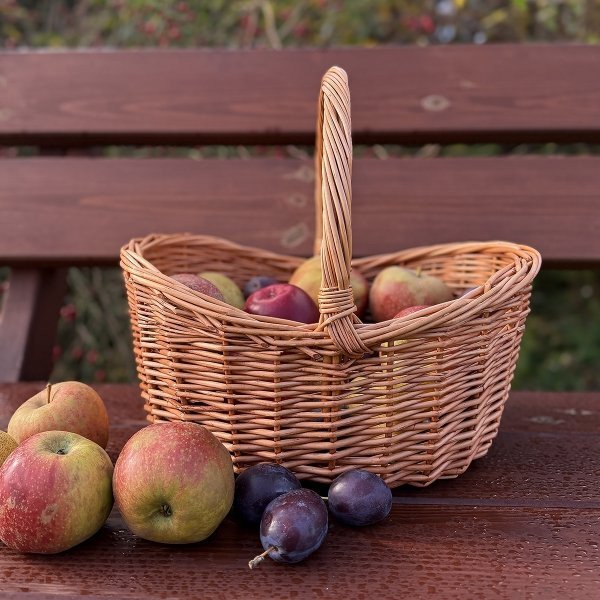 Kotarbau Kosz Zgięty Mały