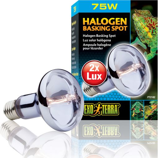 Hagen EXOTERRA ŻARÓWKA HALOGEN SPOT 75W