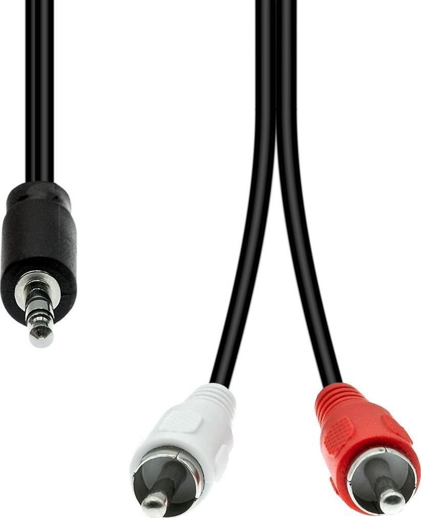 Kabel ProXtend Mini-Jack 3-Pin to 2 x RCA Cable M-M Black 0.5M