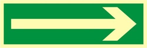 PROCERA AA008BHPS - ZNAK EWAKUACYJNY - KIERUNEK DROGI EWAKUACYJNEJ