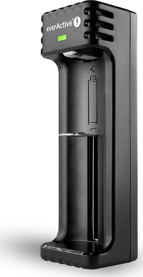 Ładowarka EverActive LC-100 (LC100)