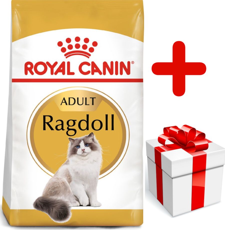 Royal Canin Ragdoll Adult 10kg + gratis