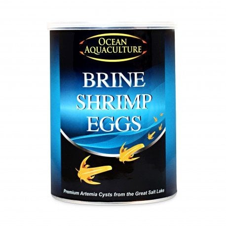 Ocean Aquaculture, brine shrimp eggs, jaja artemii do wyl�gu, waga netto 454g, puszka