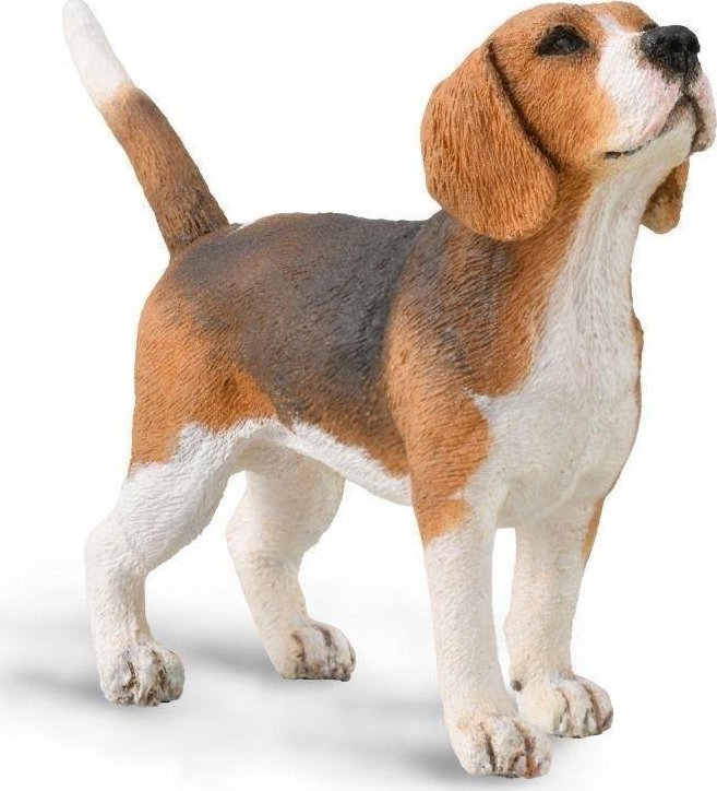 Figurka Collecta Pies beagle