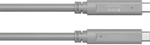 Kabel USB Cisco USB-C - USB-C 9 m Szary (CAB-USBC-AC-9M=)
