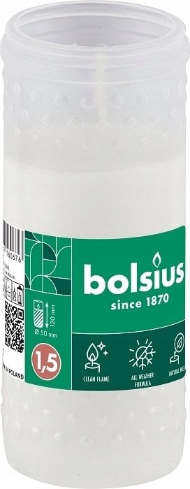 Bolsius Świeczki stołowe 4gab.kaste 245/24mm żółte 8717847160676 8717847160676