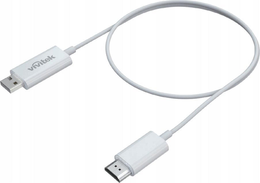 Odtwarzacz multimedialny Vivitek Vivitek VWD-01