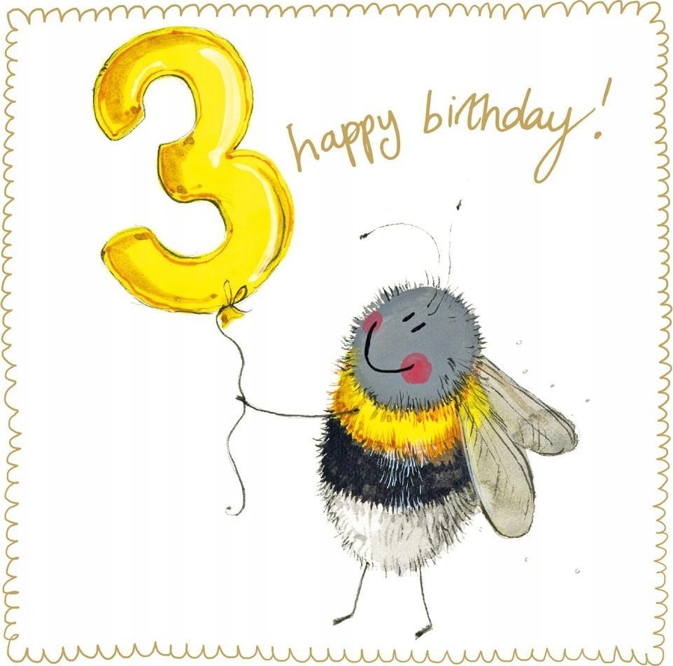 Teka Karnet Urodziny 3 S538 Pszczółka