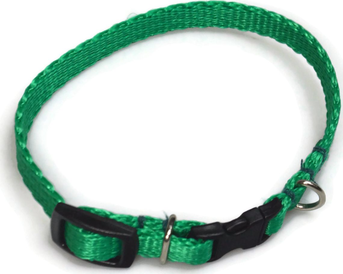 Alizoo Obroża dla psa 10mm/18-29cm - ALIZOO