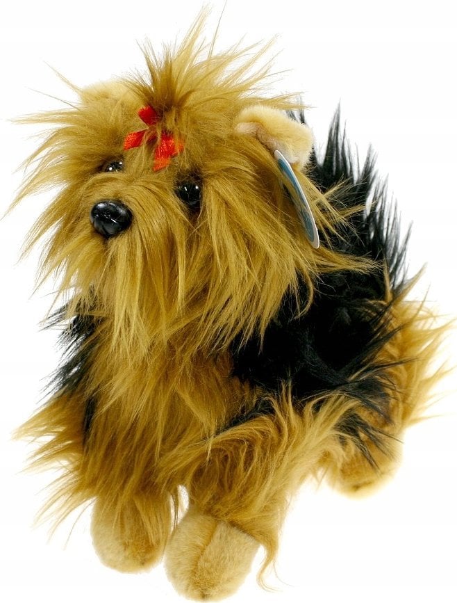 Pies York 30cm 49027