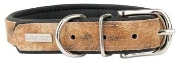 Obroża dla psa, LION, 25mm /55cm