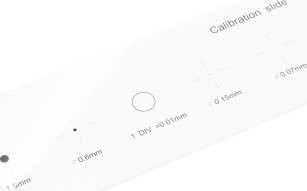 Mikroskop Levenhuk Preparat kalibracyjny Levenhuk 2