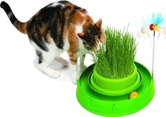 Catit Tor Catit Play 'n Scratch z trawą, 4 x 36 x 39,5 cm, zielony