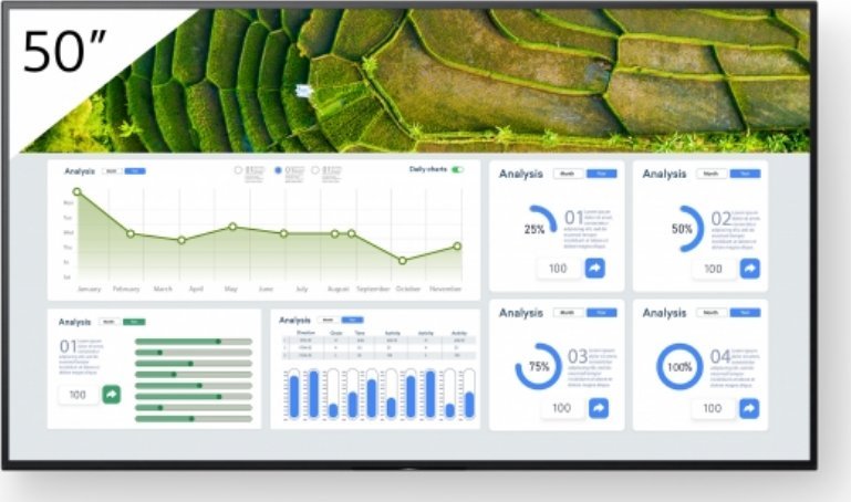 Monitor Sony Bravia FW-50BZ30L