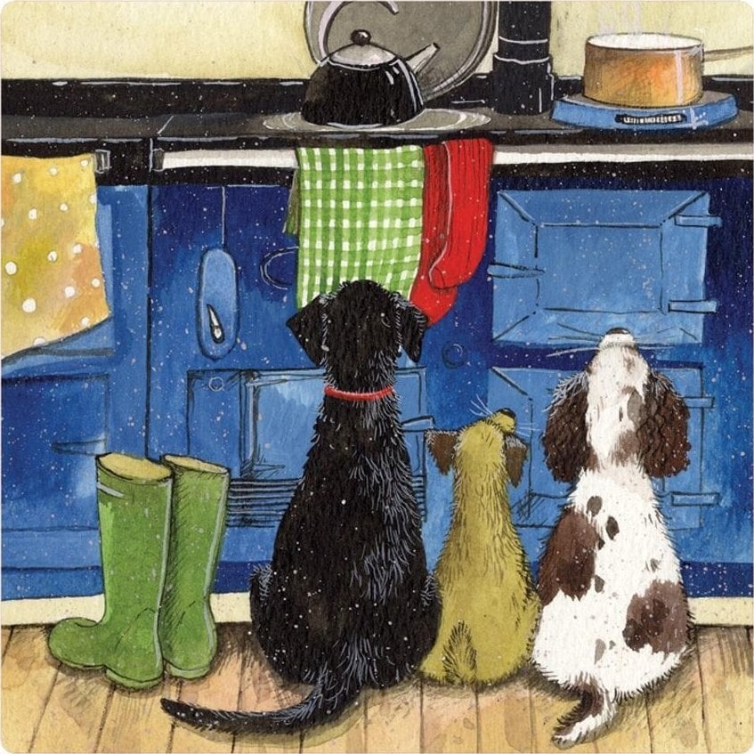 Teka Magnes FM224 Psy w kuchni