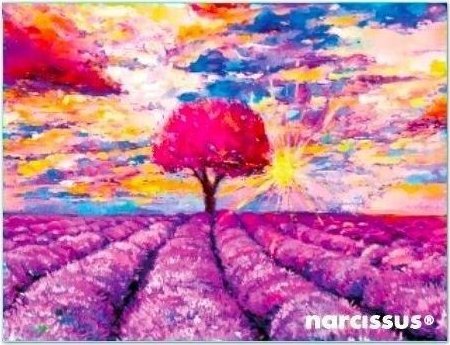 Teczka kopertowa PP A6 Lawenda