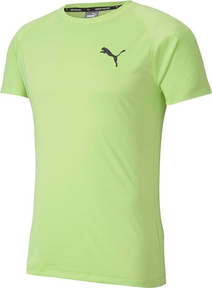 Puma Koszulka męska Puma Rtg Tee Sharp zielona 581504 34 S () - 74923-3