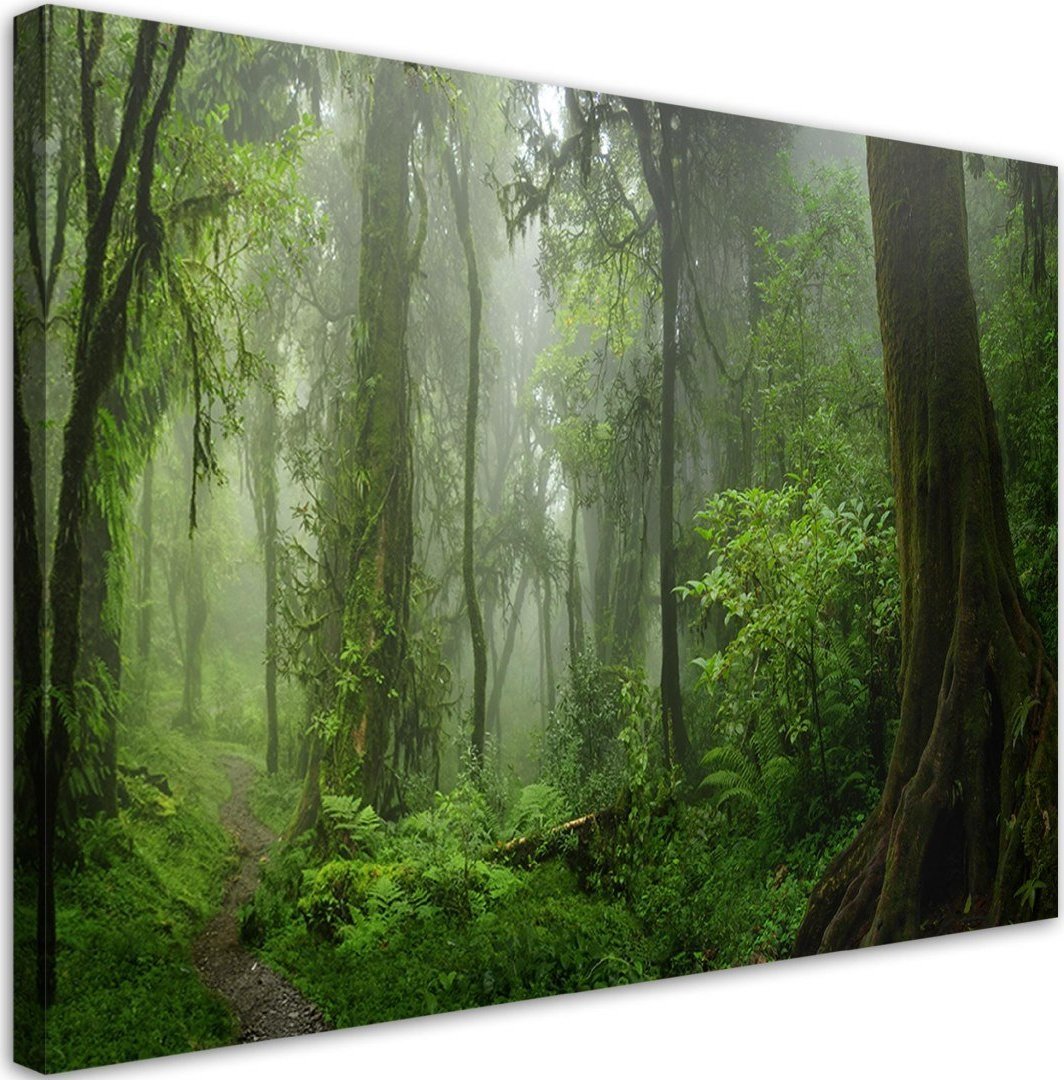Feeby Obraz na płótnie, Tropikalny las dżungla - 120x80