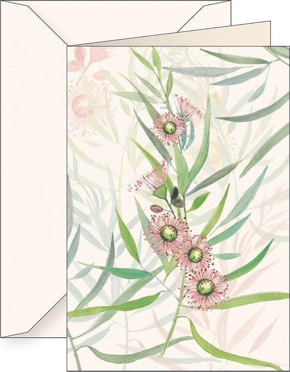 Tassotti Karnet B6 + koperta 6123 Eukaliptus kamaldulski