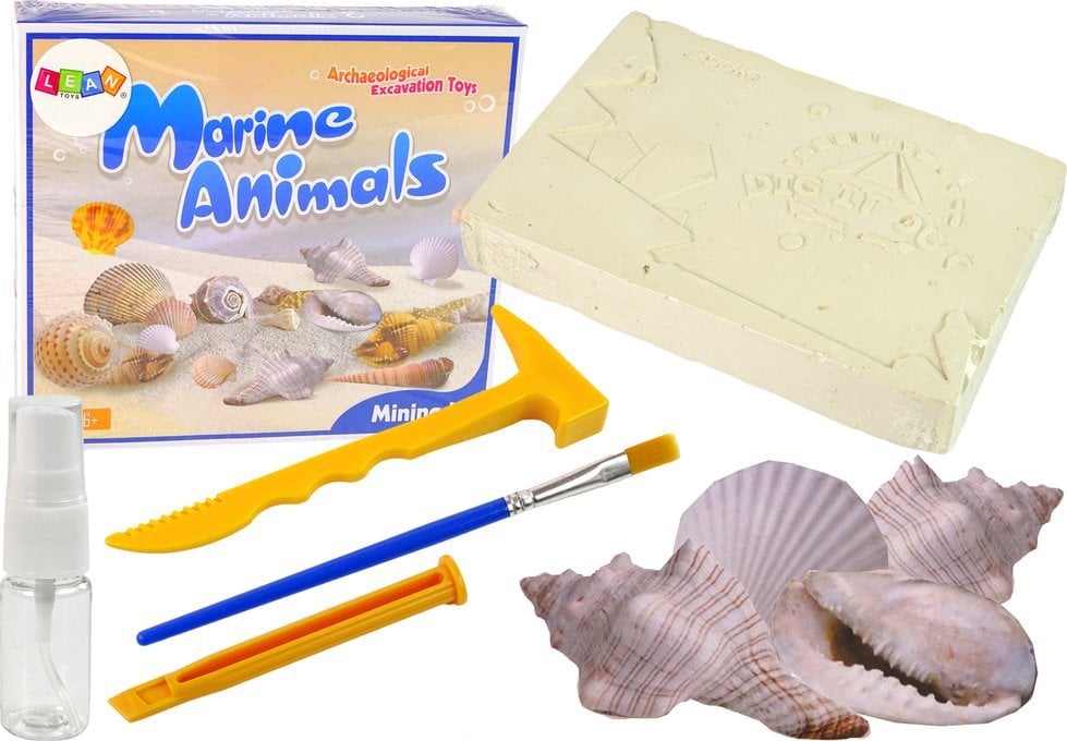 LeanToys Zestaw Wykopaliska Odkrywanie Kopalnia Zwierzęta Morskie