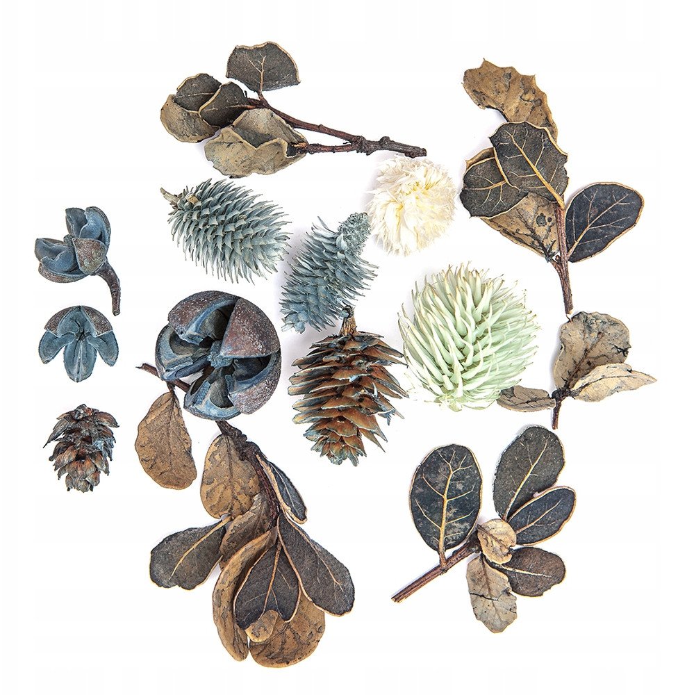 Suszone owoce i liście dekoracyjne 14szt
