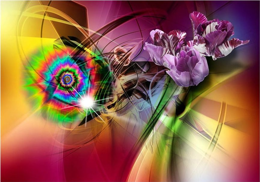 DecoNest Fototapeta - Magiczne światło kolorów - 150X105