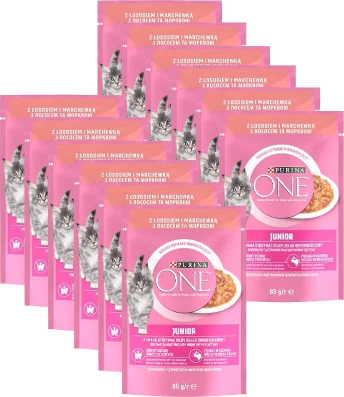 Purina One Junior Karma dla kociąt z łososiem i marchewką 12x85g