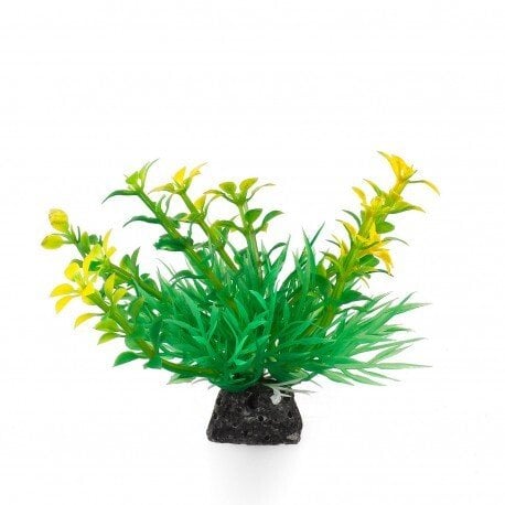 Terra Natura Aqua Natura, roślina, do dekoracji akwarium, zielono-żółta, plastikowa, 10 cm, wzrastające pędy i spirulina