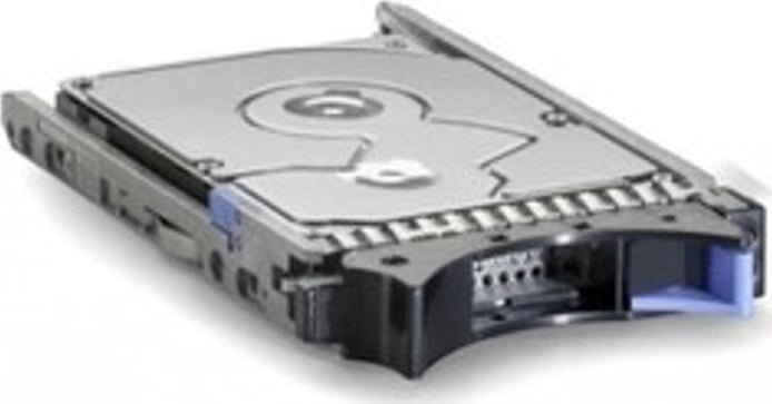 Dysk serwerowy IBM 300GB 2.5'' SAS-2 (6Gb/s) (49Y6173)
