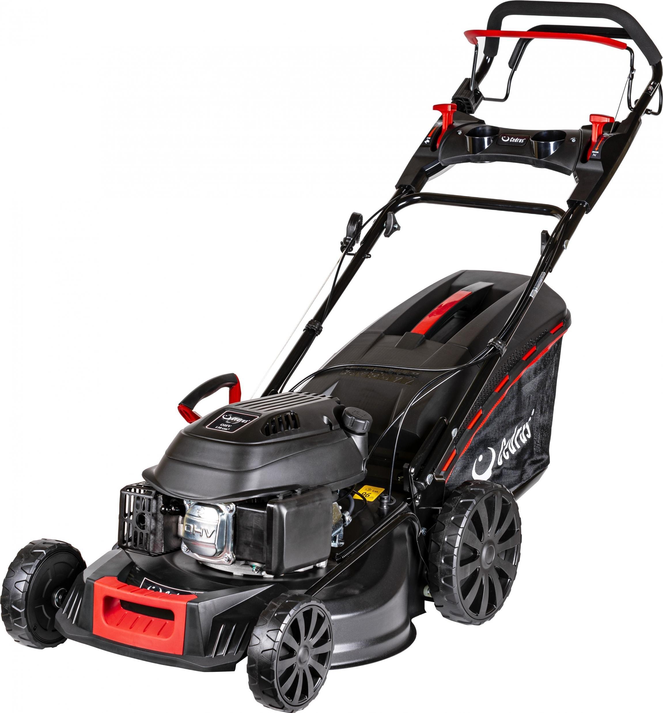 Kosiarka spalinowa Cedrus KS48S