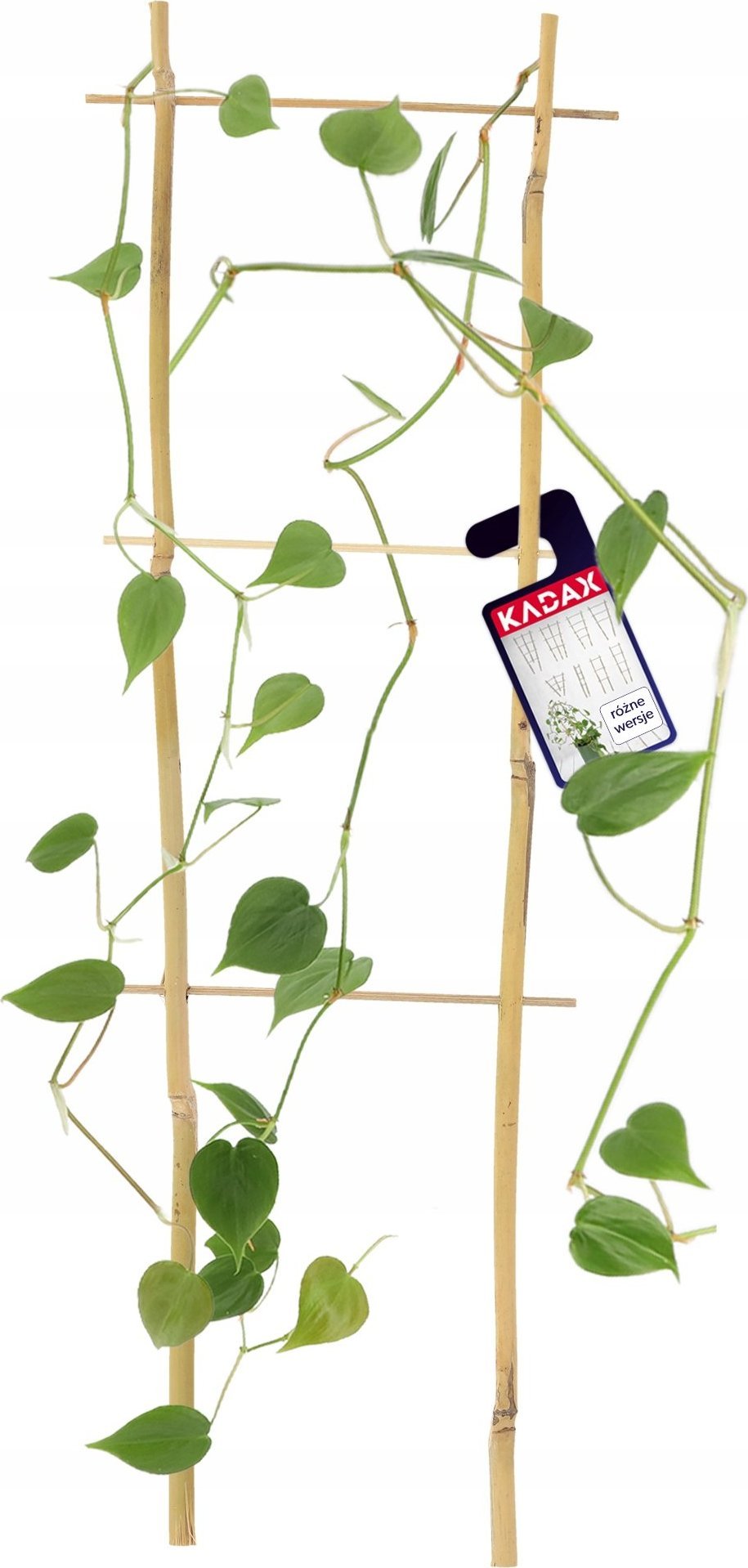 Kadax Drabinka Bambusowa Podpora Pnączy Podwójna 45cm