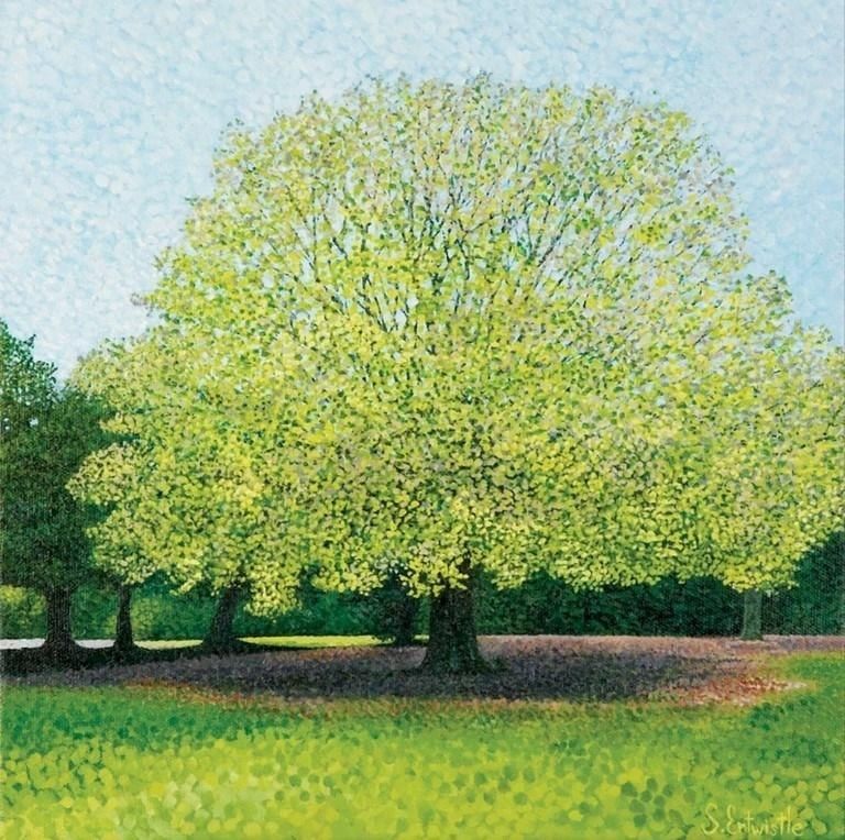 Susan Entwistle Karnet z kopertą Buk paprociowy