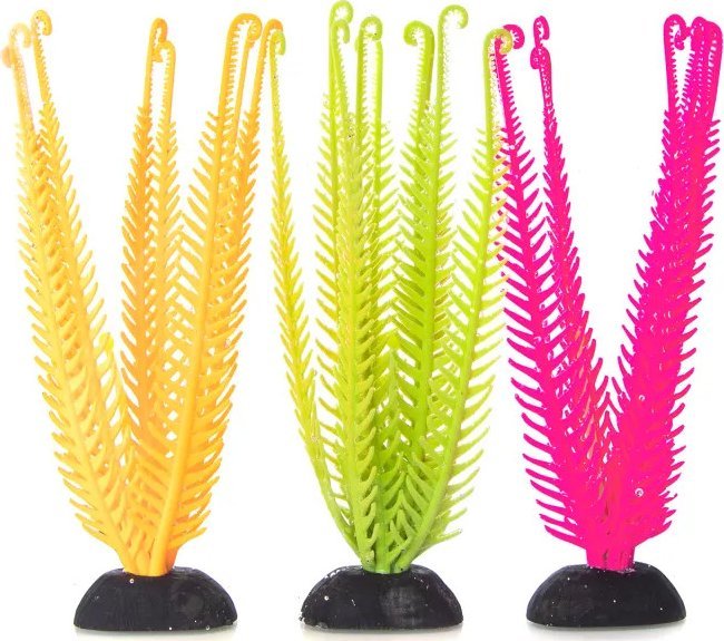 Nobleza Odblaskowe rośliny wodne Odblaskowe rośliny wodne